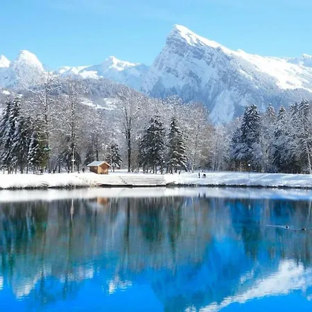 Du Bief , 4-6 Pers Chalet Morillon