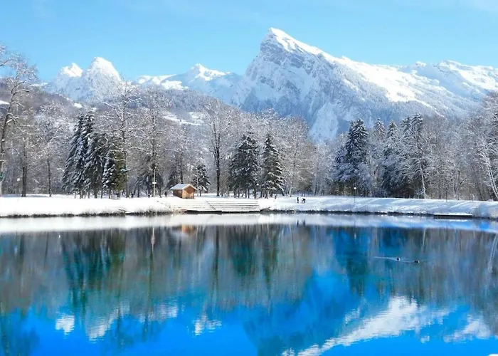 Du Bief , 4-6 Pers Chalet Morillon